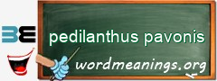 WordMeaning blackboard for pedilanthus pavonis